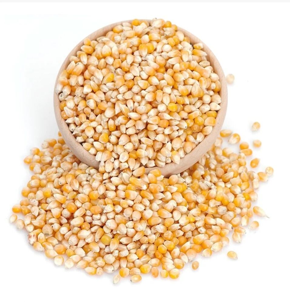 Cin Mısır 1 kg